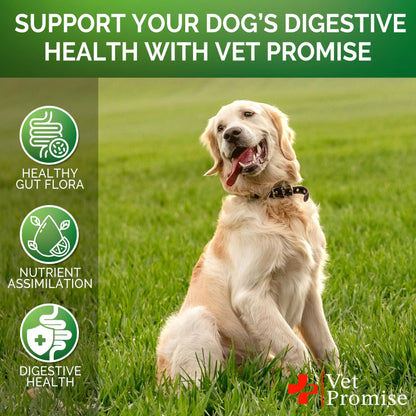 Probiotics for Dogs Digestive Enzymes for Good Health Itchy Skin 120 Chews